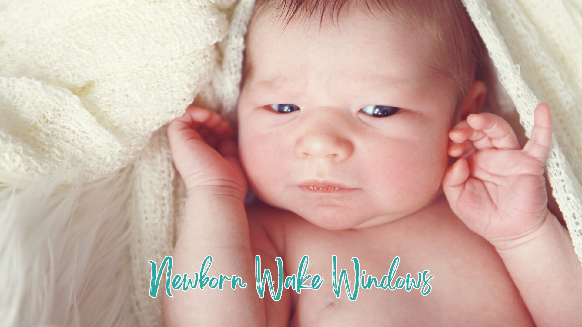 Newborn Wake Windows