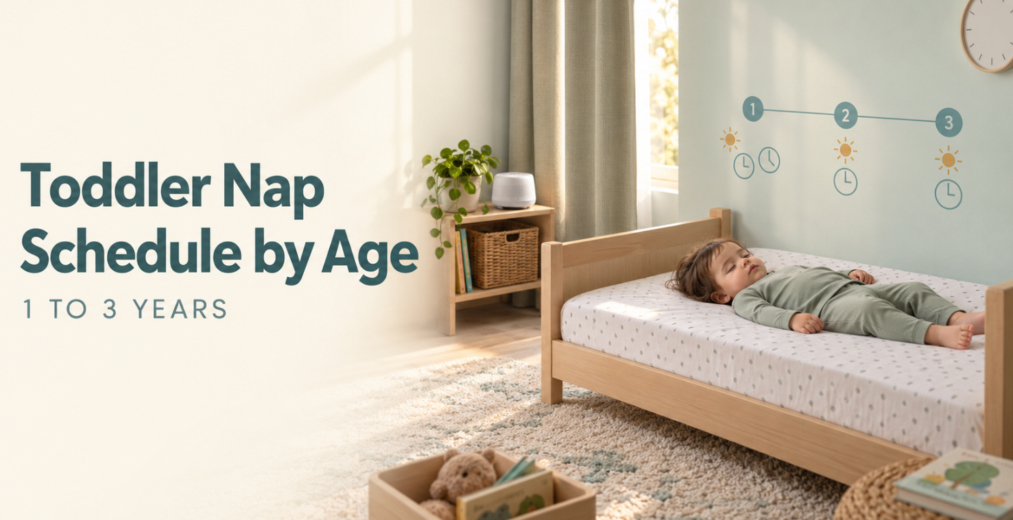 Toddler Nap Schedule By Age