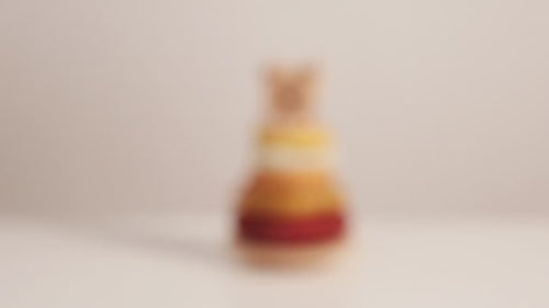 Alppi Lion Stacking Tower sensory toy